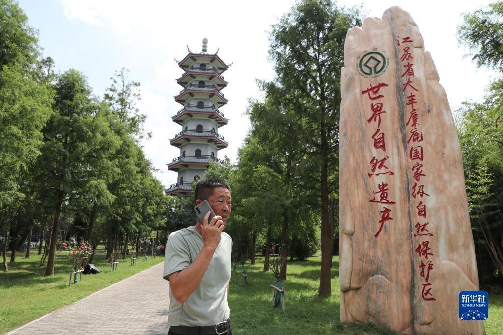 奔驰上线娱乐网址8688